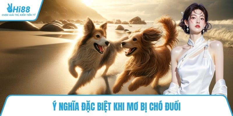 Ý nghĩa đặc biệt khi mơ bị chó đuổi